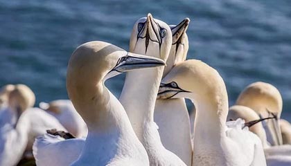 最新的怎样解除原来绑定的银行卡方法分享(怎么解除原来绑定的银行卡教程)