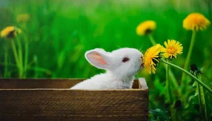 最新的高价医保卡会被法院冻结吗方法分享(高价医保卡会被法院冻结吗知乎教程)